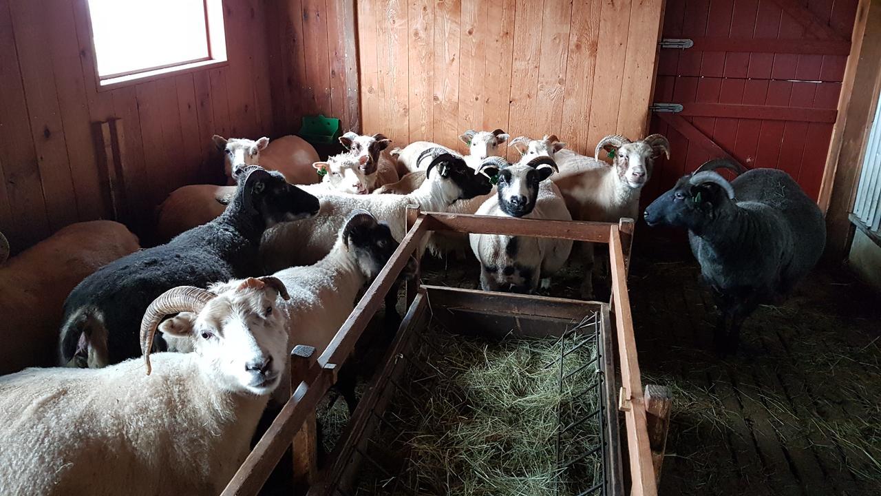 Klara'S Farm Holidays Hella Exterior foto