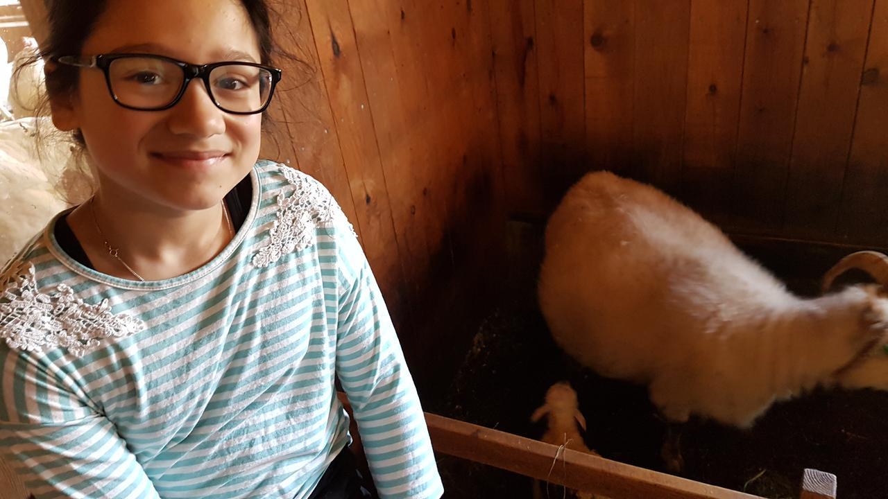 Klara'S Farm Holidays Hella Exterior foto