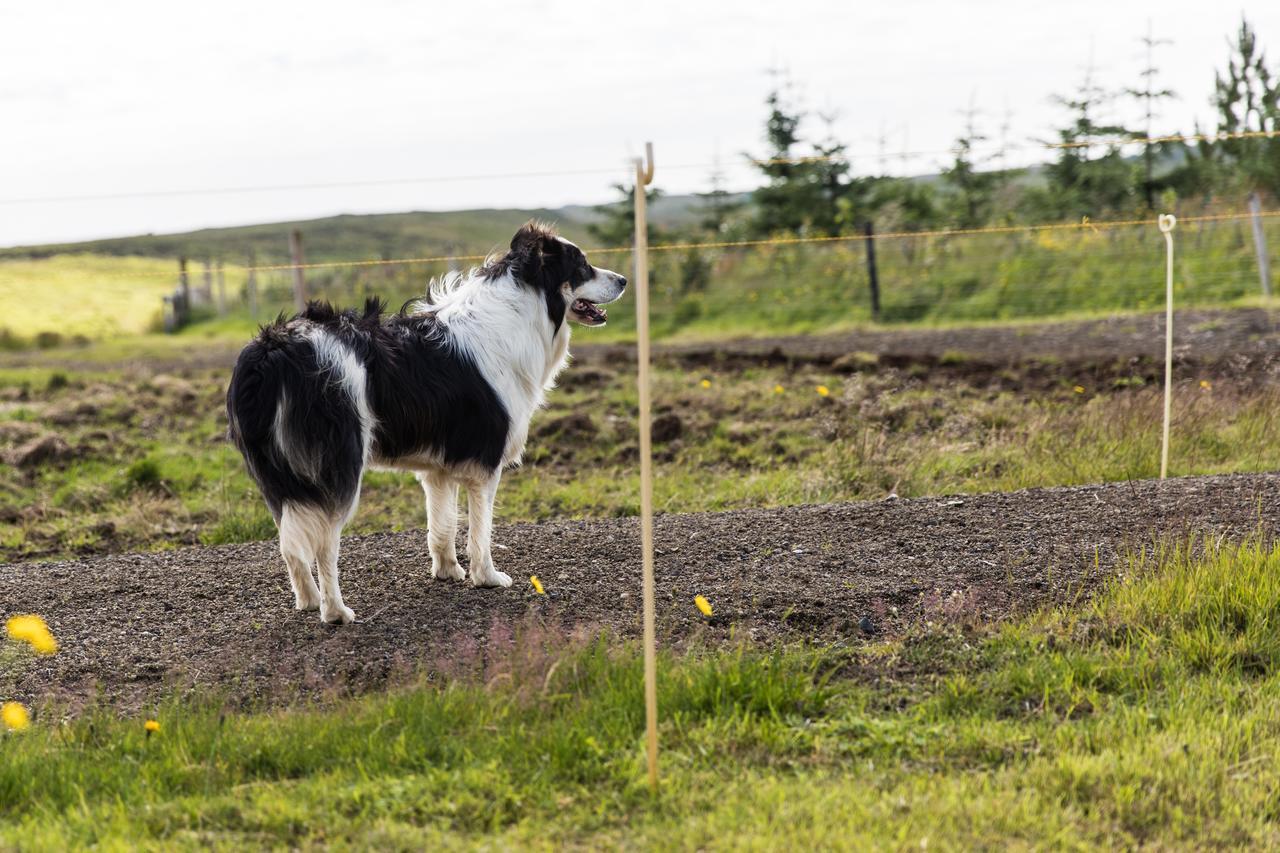 Klara'S Farm Holidays Hella Exterior foto